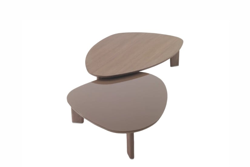 Arnold Coffee Table Flexform - 4