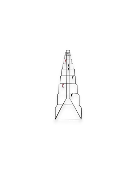 Symbol of the Ladder 1 Tomassini Selection - 3