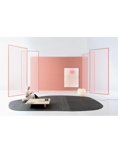 Tappeto Parallelo Paola Lenti - 5