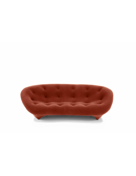 Ploum Sofa Ligne Roset - 1