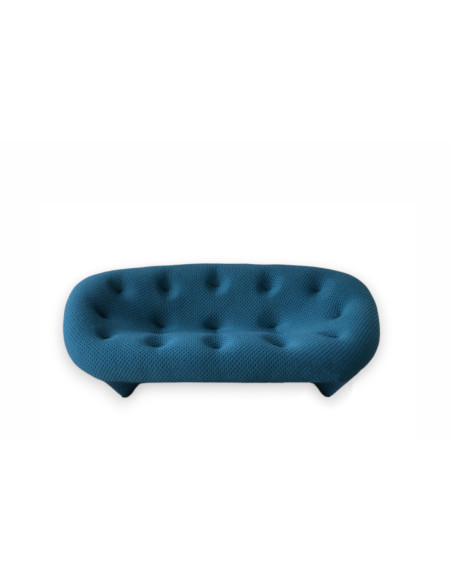 Ploum Sofa and Pouf (Expo Offer) Ligne Roset - 7