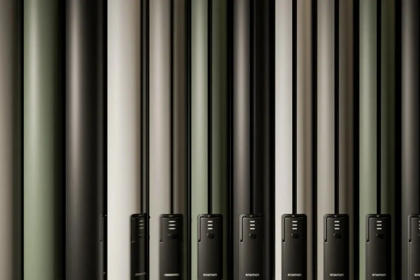 Anamon Parasol Royal Botania - 7