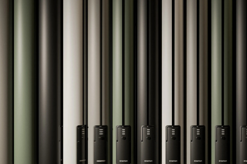 Parasol Anamon Royal Botania - 7