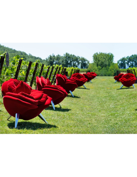 Poltrona Rose Chair Edra - 5