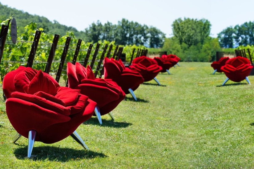 Fauteuil Rose Edra - 5