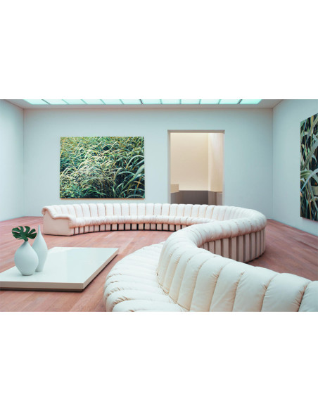 DS 600 Snake Sofa De Sede - 7