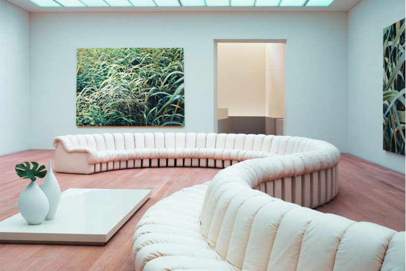 DS 600 Snake Sofa De Sede - 7