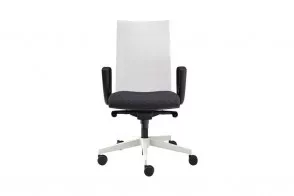 Kroma Mesh Task Chair