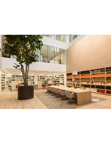 Sedia Operativa Masai