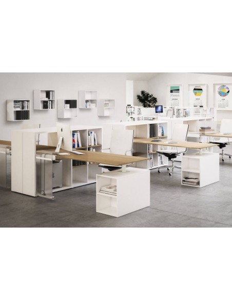 Framework 2.0 Operative Desk