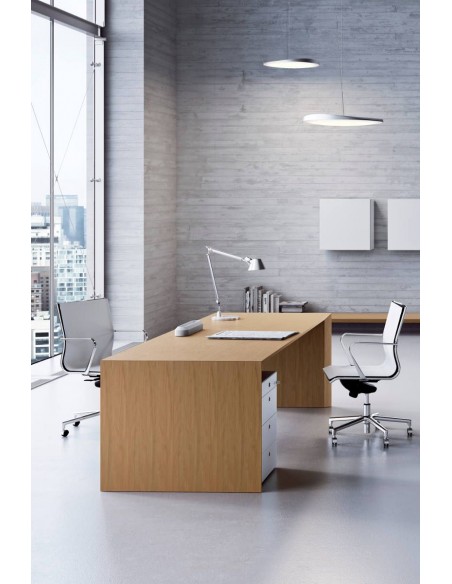MultipliCeo Executive Desk