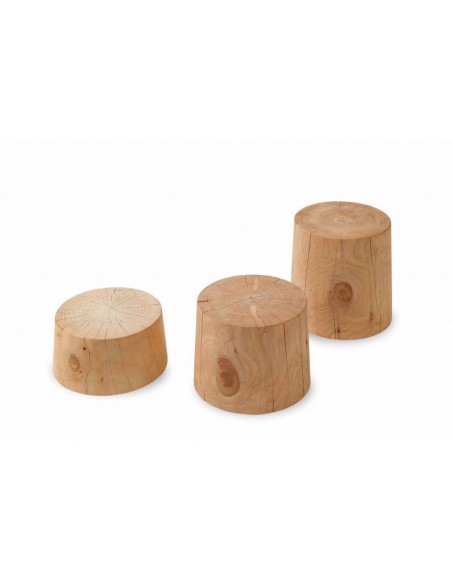 Legno Vivo Coffee Table