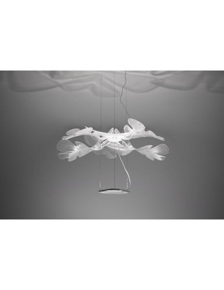 Suspension Lamp Chlorophilia