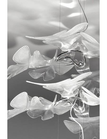 Suspension Lamp Chlorophilia