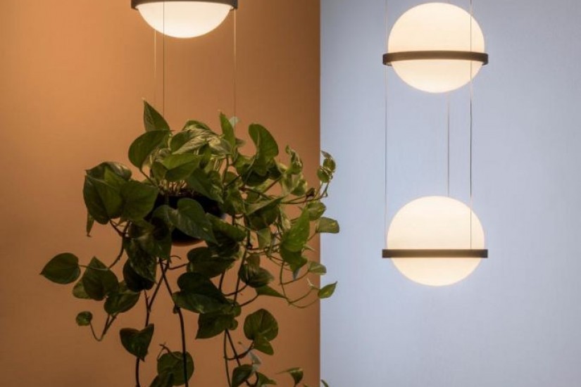 Lampada a Sospensione Palma