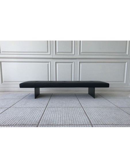 Panca Track (Offerta Expo)