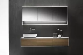 Shape Evo Bathroom Cabinet