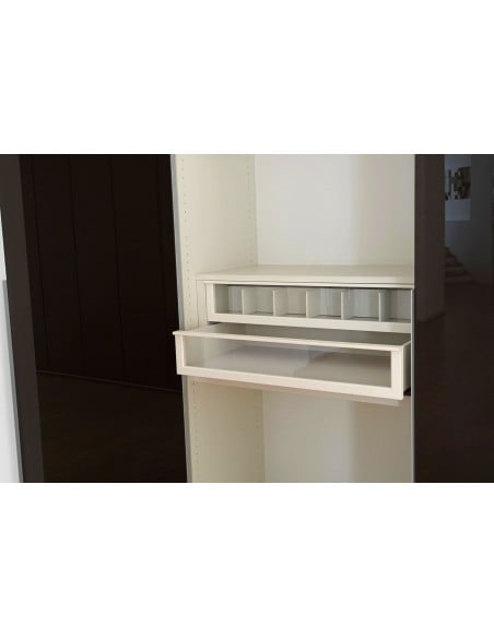 Glass Door Wardrobe (Expo Offer)