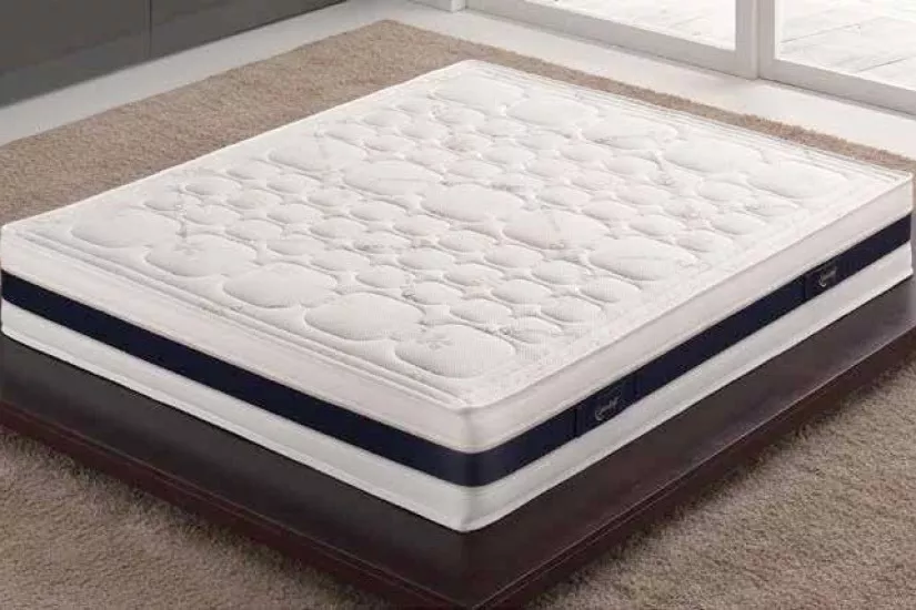 Poly Spring Bio Mattress