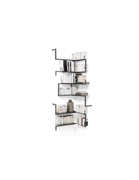 Antologia Bookcase