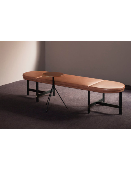Passepartout Bench