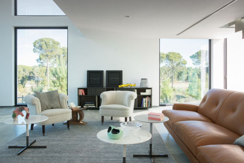 Fauteuil Club Poltrona Frau - 5