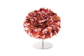 Fauteuil Bouquet Moroso - 1