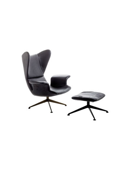 Longwave Armchair and Ottoman (Expo Offer)