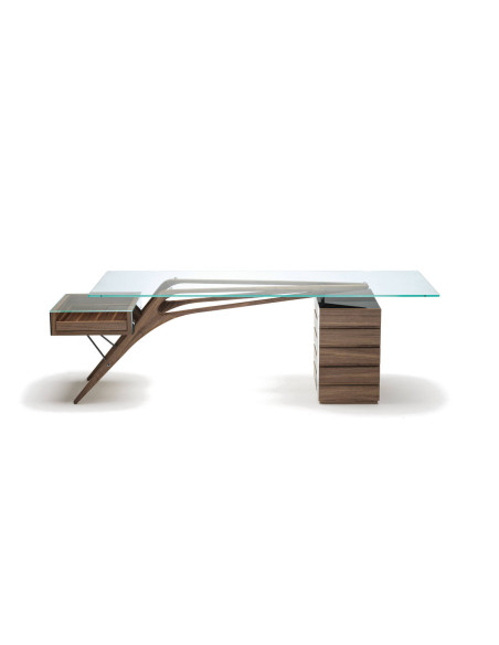 Cavour CM Desk