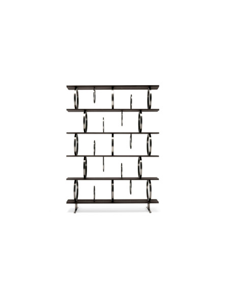 Flying Circles Bookcase