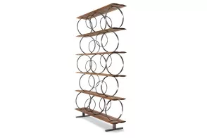 Flying Circles Bookcase