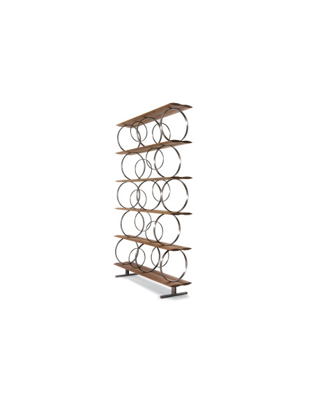 Flying Circles Bookcase