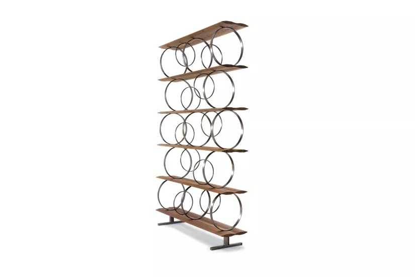 Flying Circles Bookcase