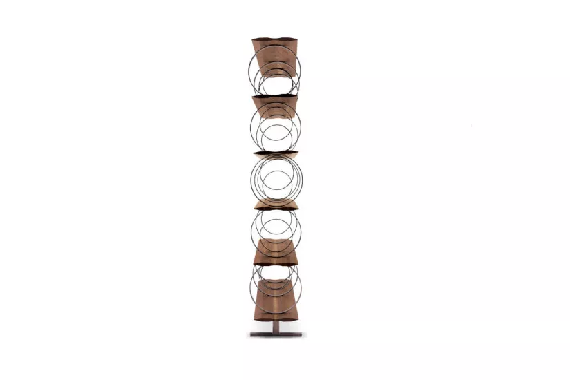 Flying Circles Bookcase