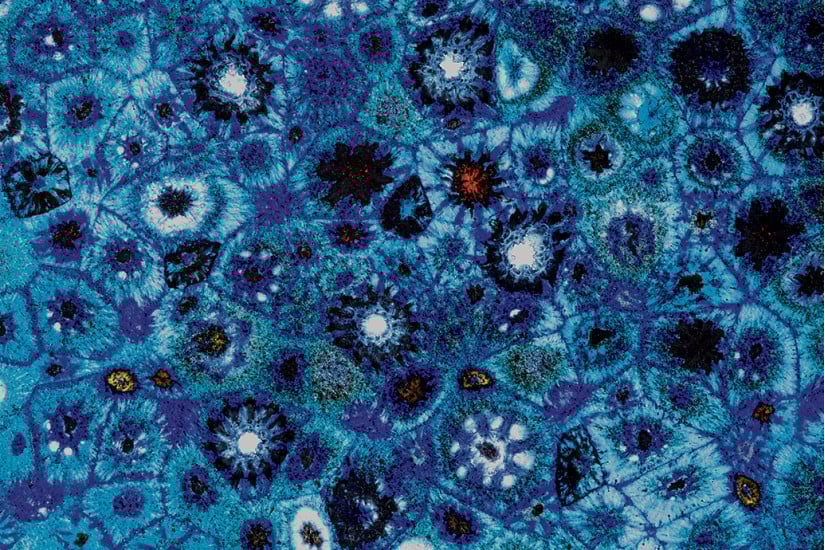 Table basse Bloom Paola Lenti - 6