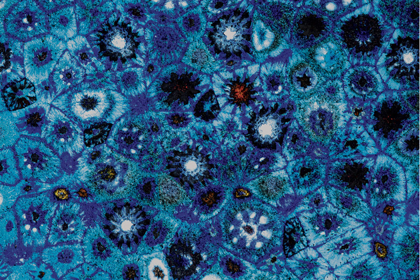 Tavolino Bloom Paola Lenti - 6