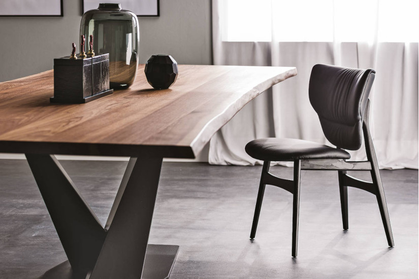 Sedia Dumbo Cattelan Italia - 4