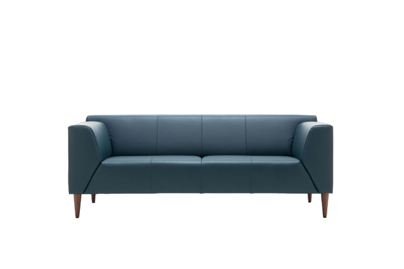 Canapé Linea Rolf Benz | Achats en Ligne