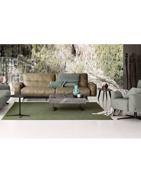 Canapé Rolf Benz 50 Rolf Benz | Achats en Ligne