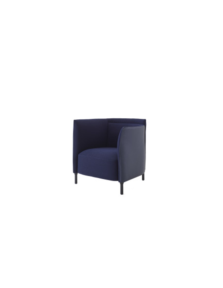Ligne Roset Hemicycle Armchair | Online Shop