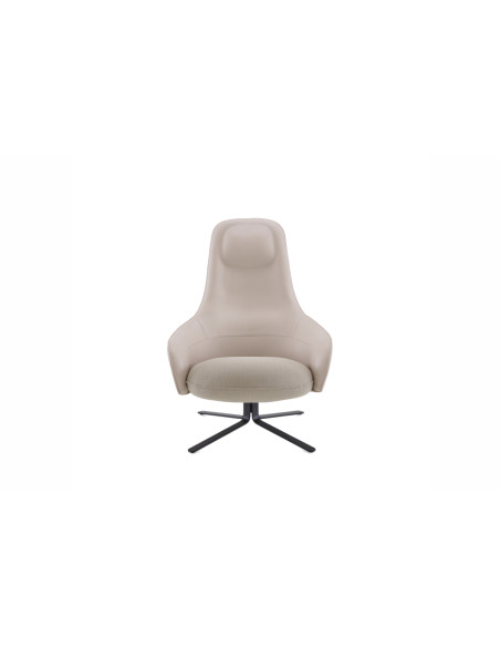 Ligne Roset Moa Armchair | Online Shop