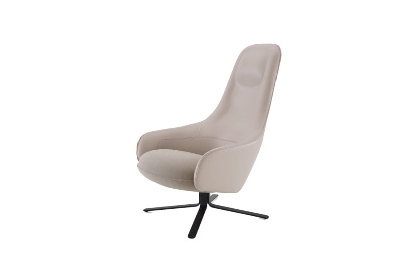 Ligne Roset Moa Armchair | Online Shop
