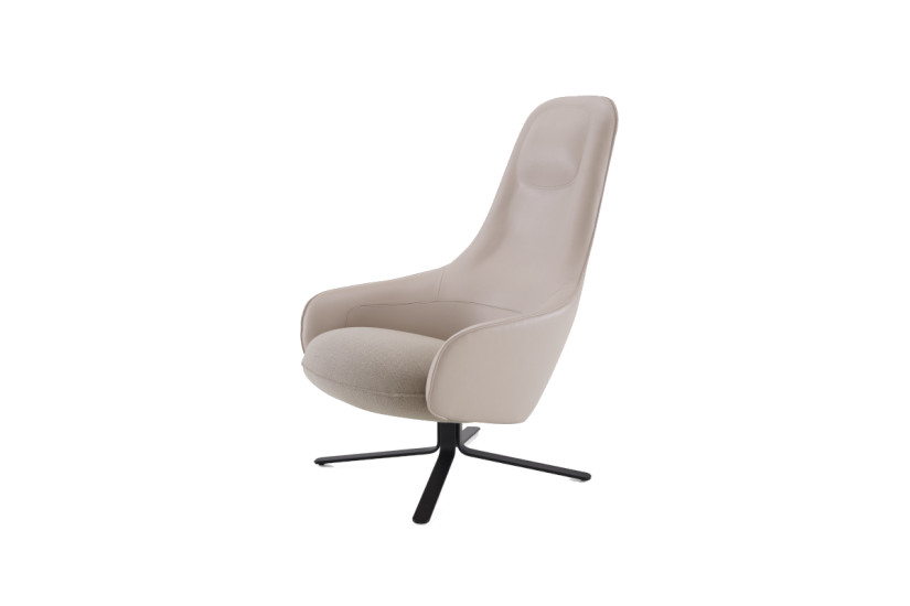 Poltrona Moa - Ligne Roset | Prezzi e Catalogo Online