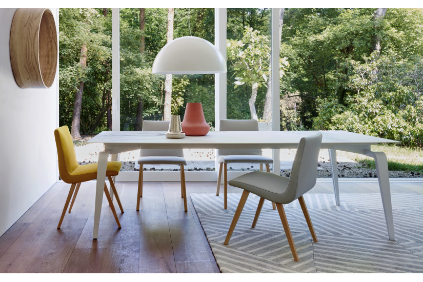 Chaise TV Ligne Roset | Achats en Ligne